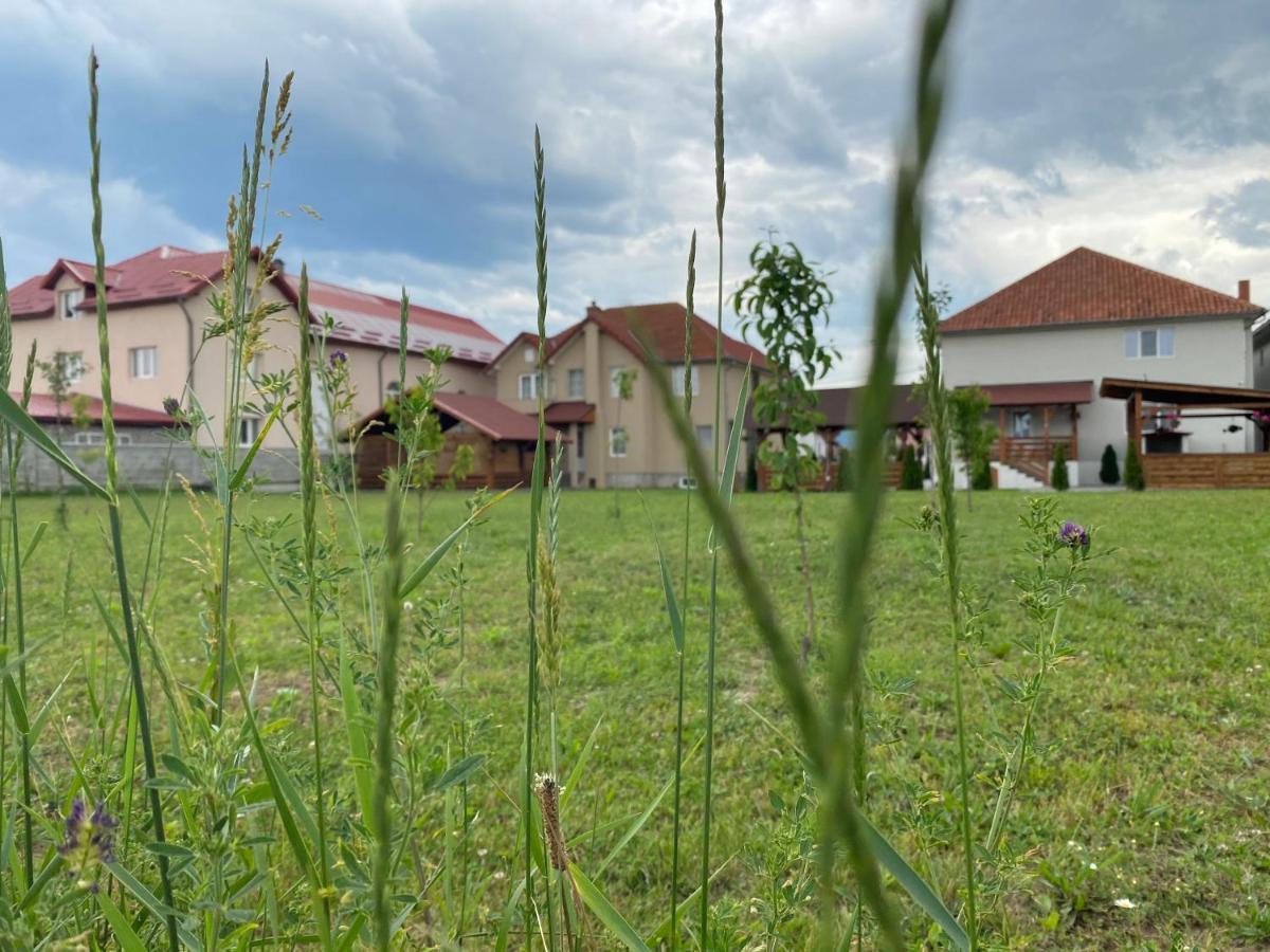 Absolut Residence Хацег Экстерьер фото